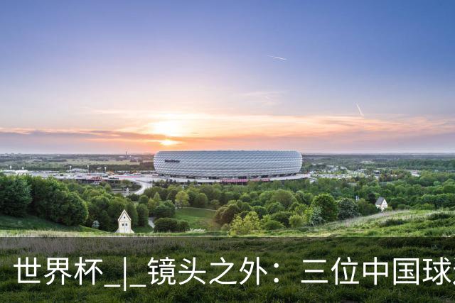 世界杯 | 镜头之外：三位中国球迷的绿茵热望